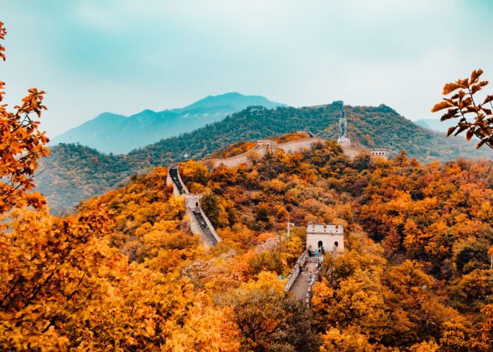 hanson lu q36bvlgdoag unsplash