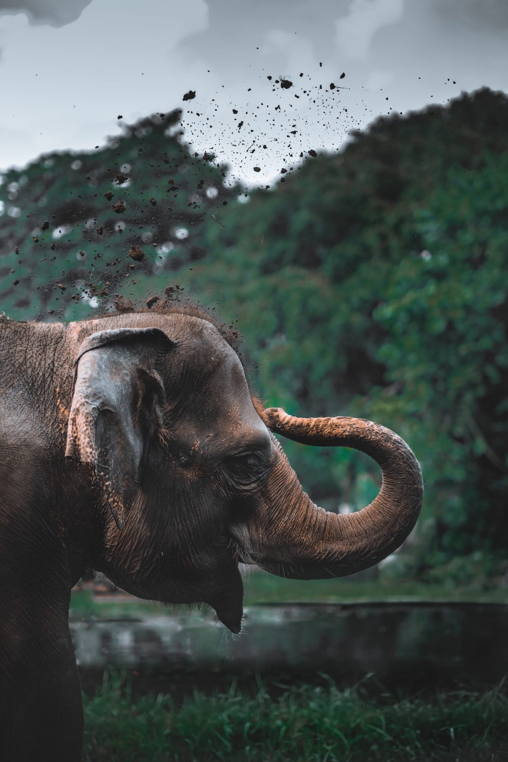 iswanto arif cbnvrnlntz8 unsplash