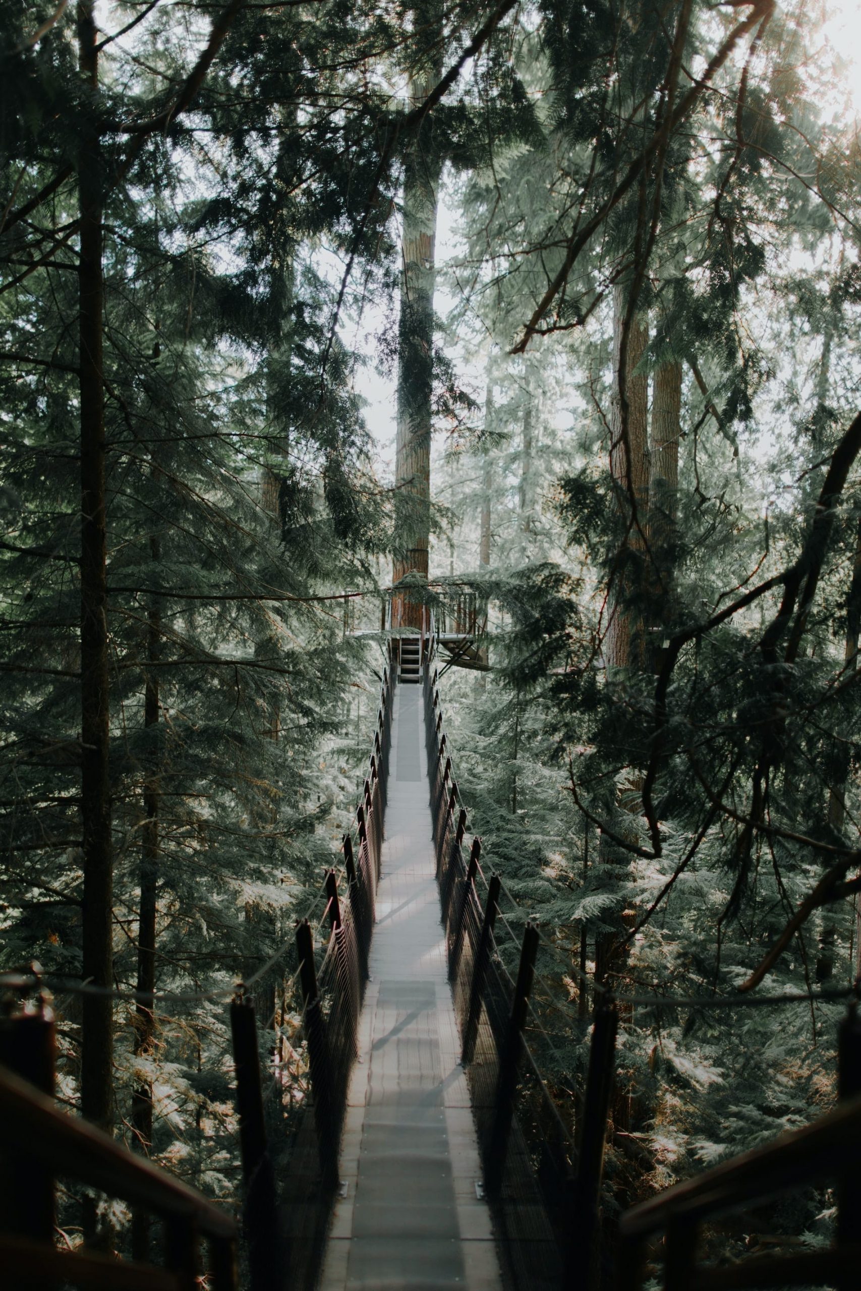 ivana cajina uo5okwi22bm unsplash