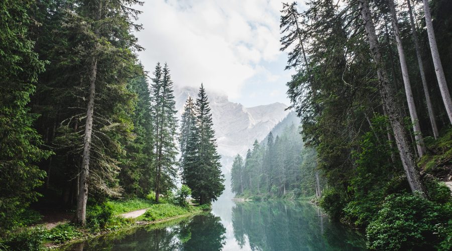 luca bravo 134776 unsplash