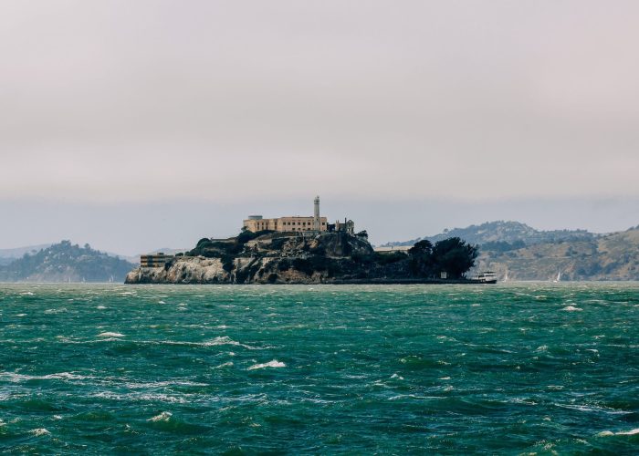shelby cohron wxbdavufft0 unsplash