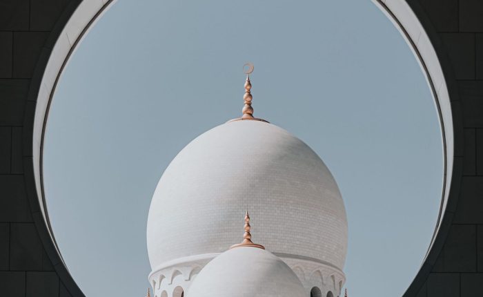 thais cordeiro 4tvfptv wje unsplash