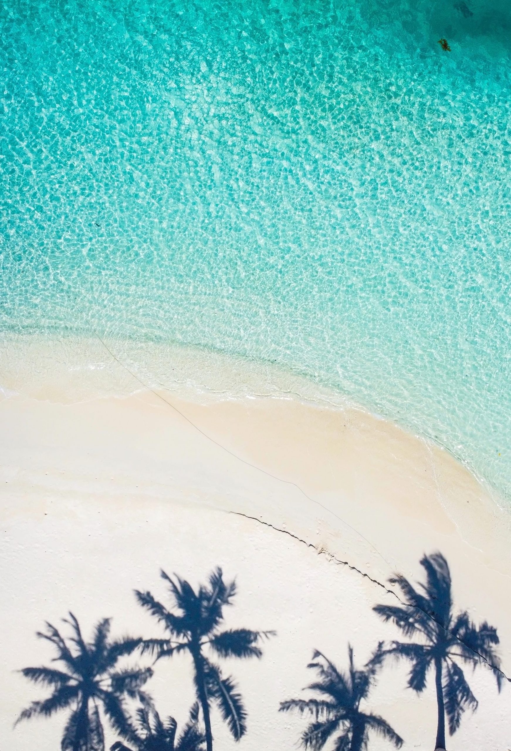 husen siraaj 55oh6wnjqxo unsplash